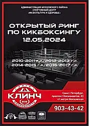 Кикбоксинг - четыре золота и четыре серебра - команда Алмаз